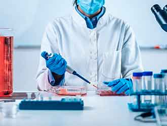 3D cultures and organoids