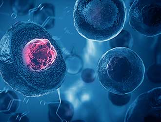 cancer stem cell technologies