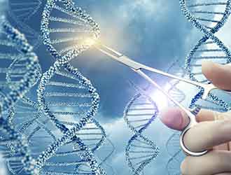 Genome Editing
