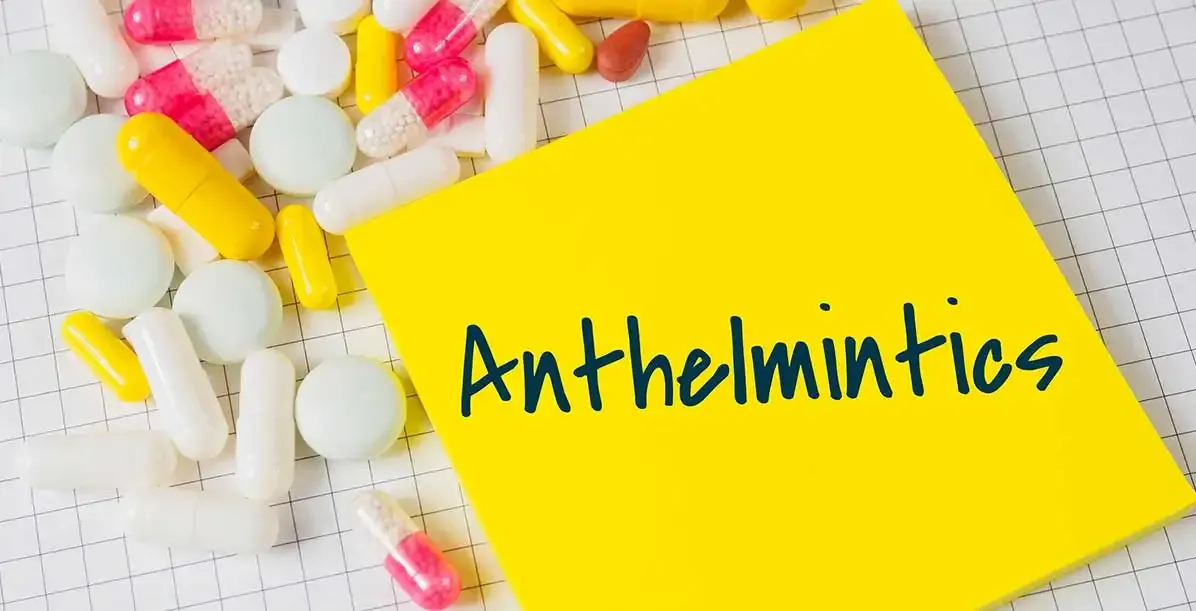 Custom Research Article