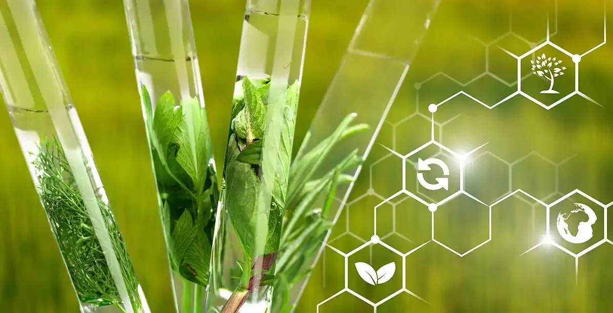 Custom Research Article