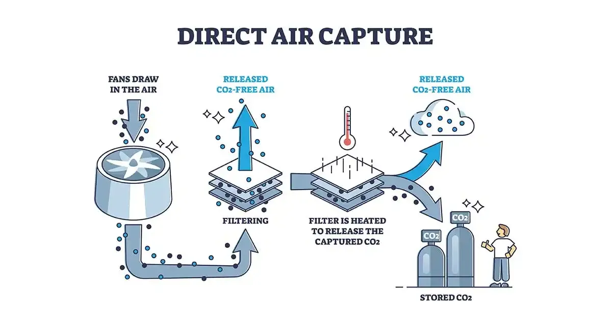 Custom Research Article