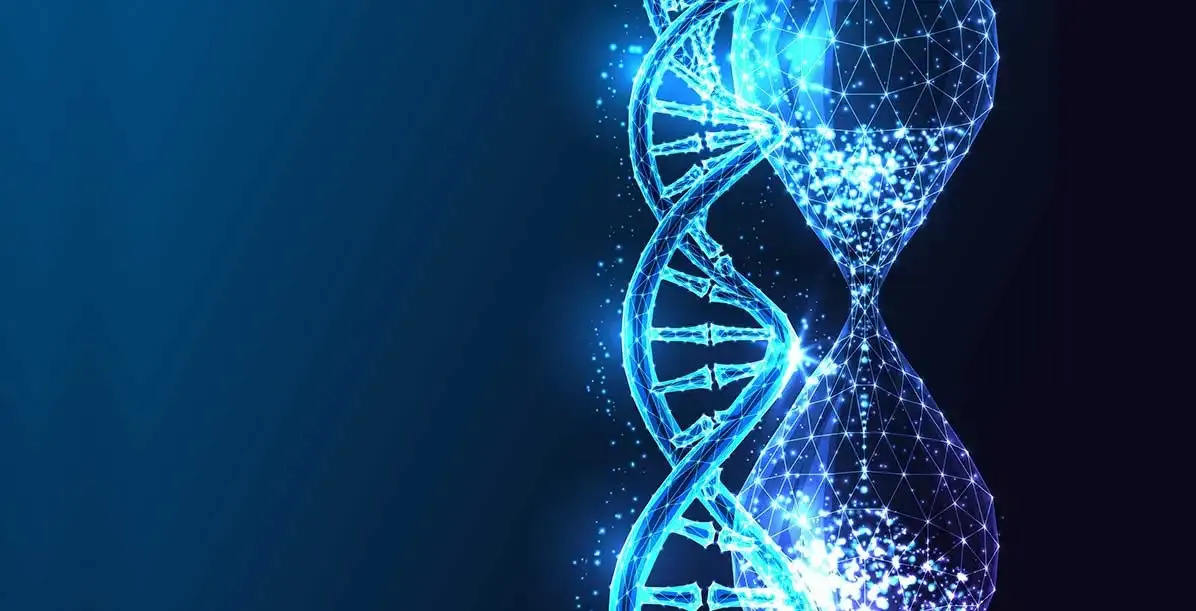 Custom Research Article