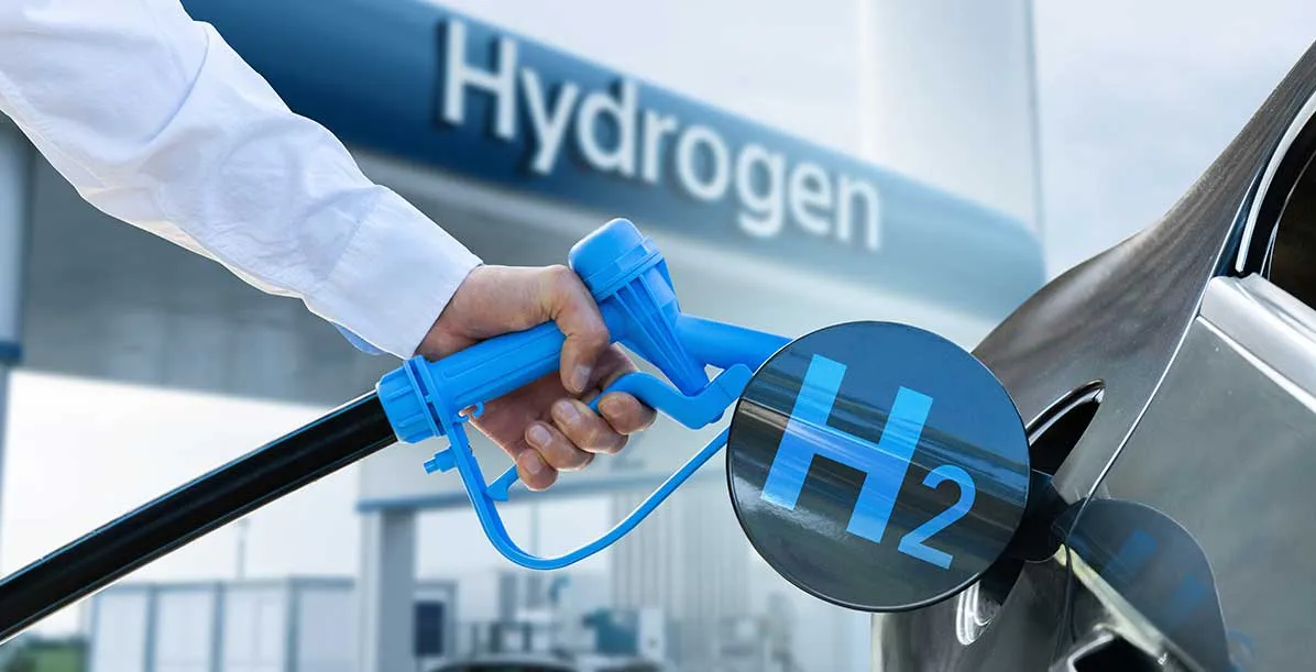 Custom Research Article