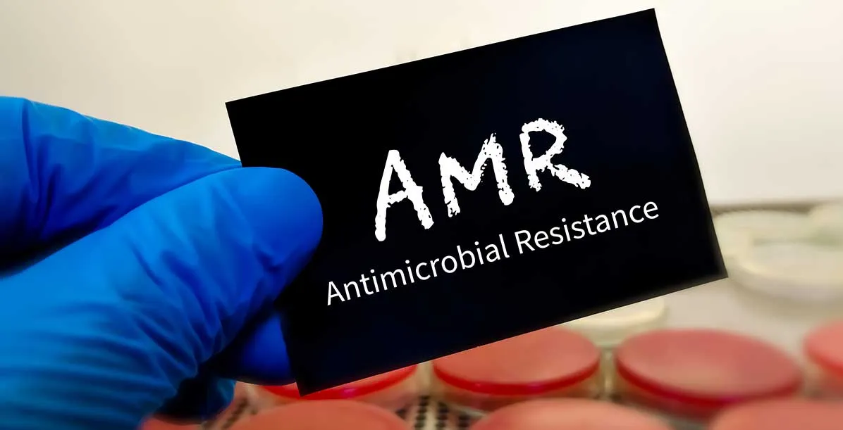 Custom Research Article