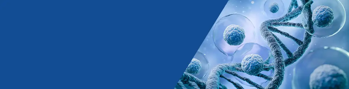 Custom Research Category