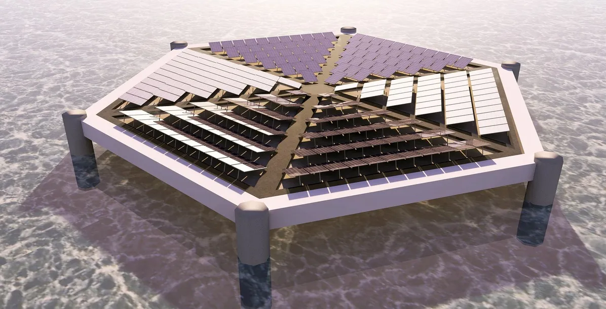 Custom Research Article