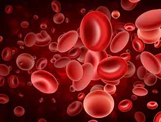 blood plasma products