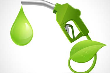 Innovation Spotlight: Green Diesel
