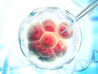 Cell and Gene Therapy Industry